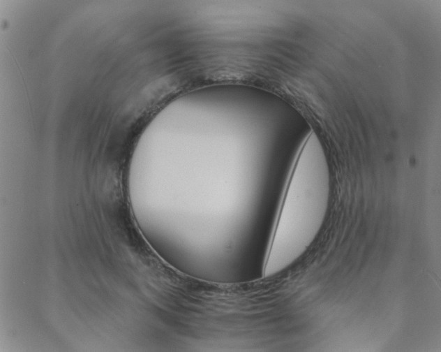 X0000088910743200706080825