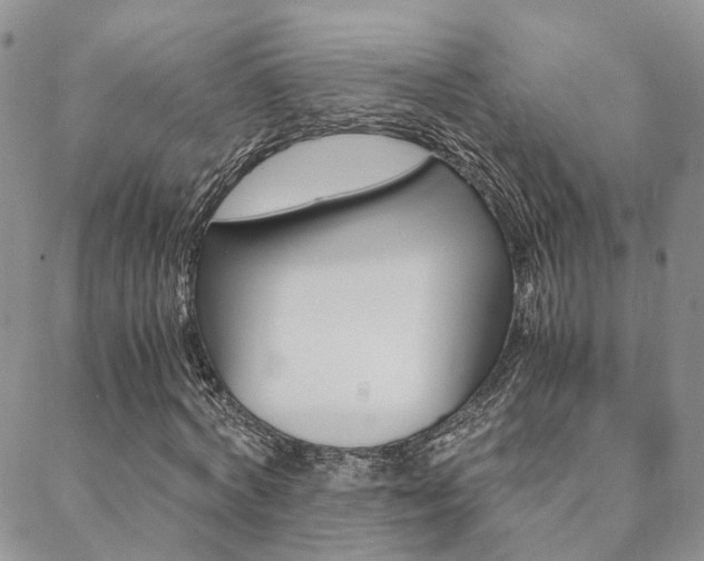 X0000088910772200706080824