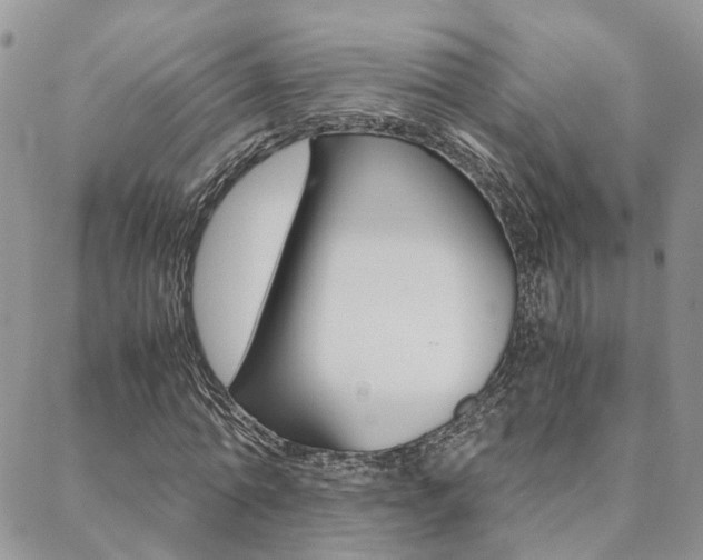 X0000088910774200706080824