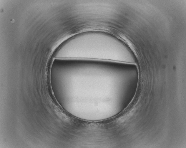 X0000088910779200706080824