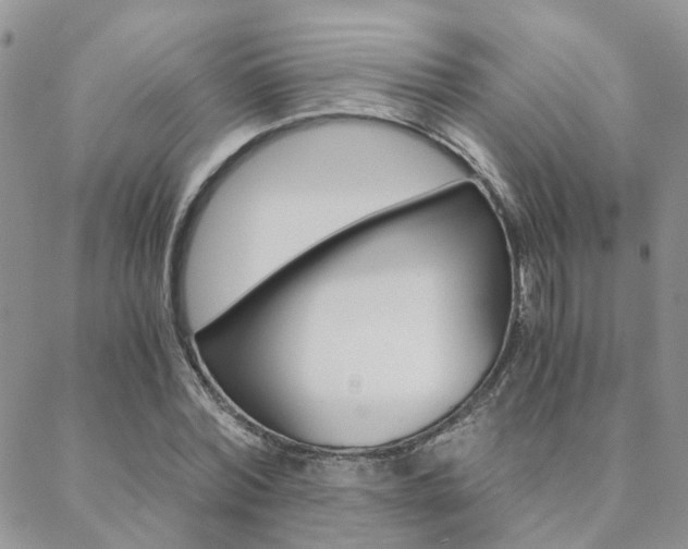 X0000088910780200706080824
