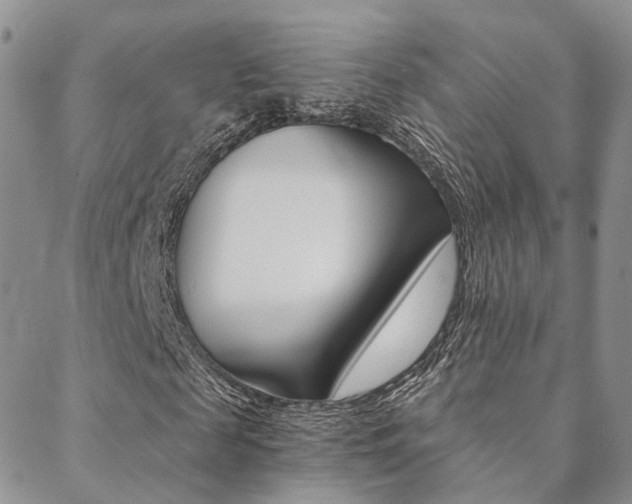 X0000088910817200706080823