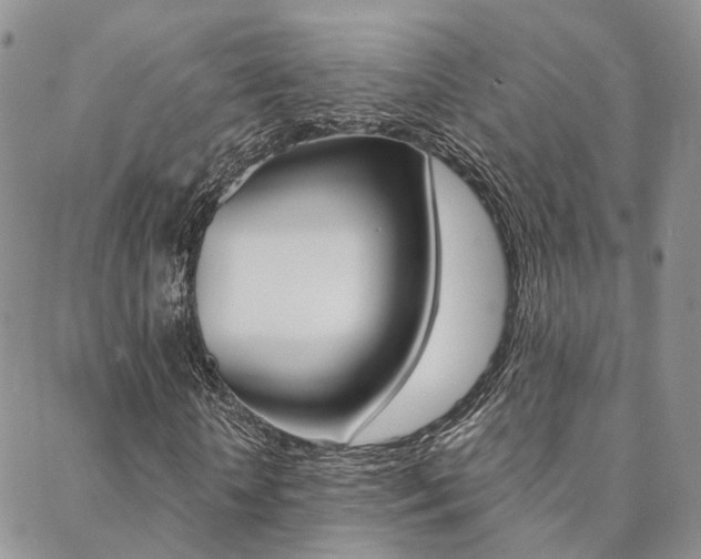 X0000088910818200706080823
