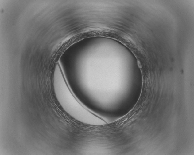 X0000088910822200706080823