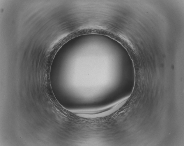 X0000088910872200706080823