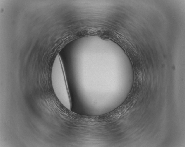 X0000088910914200706080821