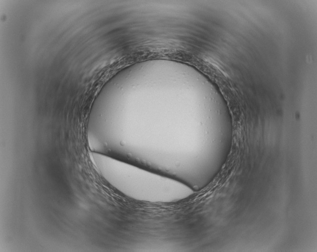 X0000088910917200706080821