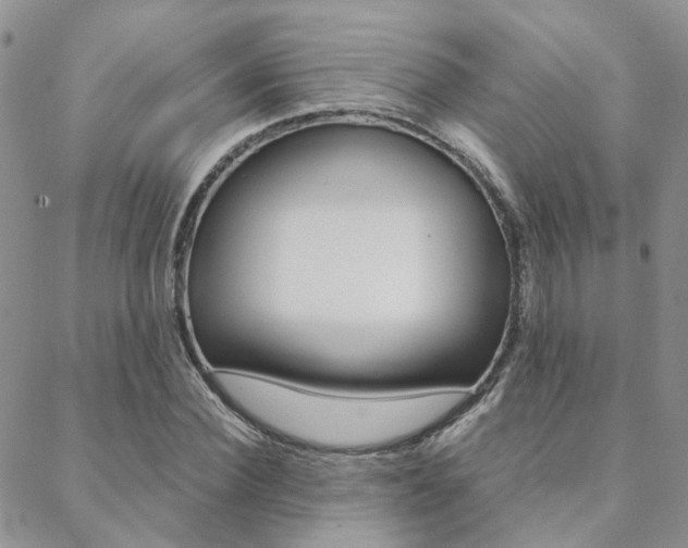 X0000088910924200706080821