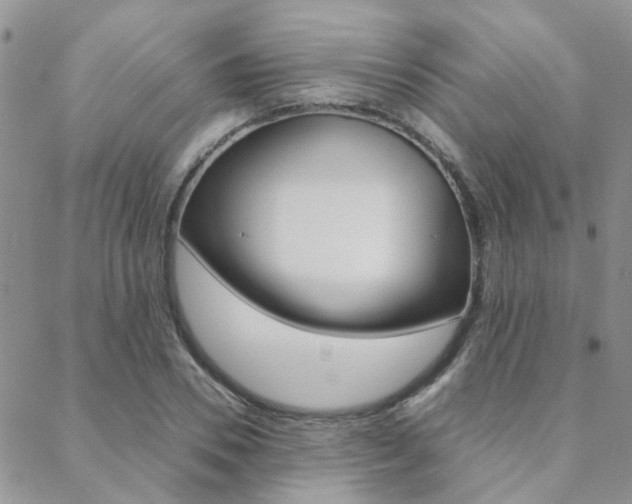 X0000088910930200706080822