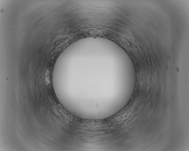 X0000088910962200706080821