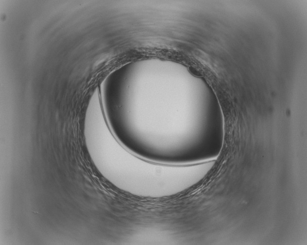X0000088910965200706080821