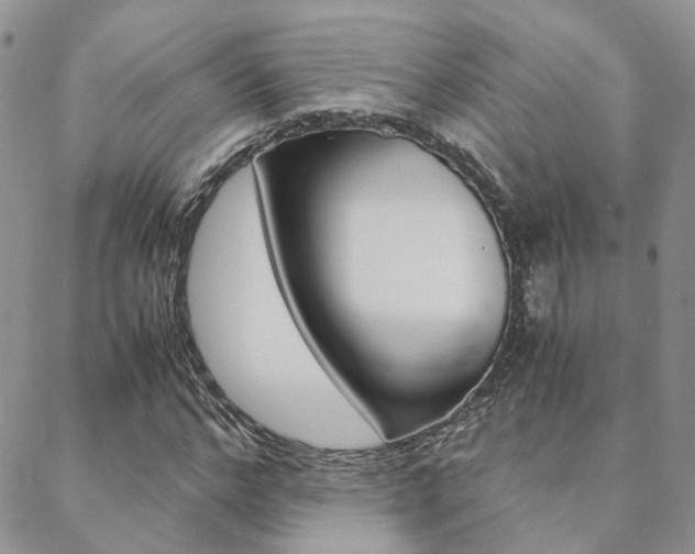 X0000088910968200706080821