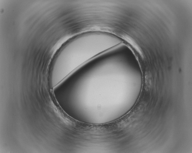 X0000088910972200706080821