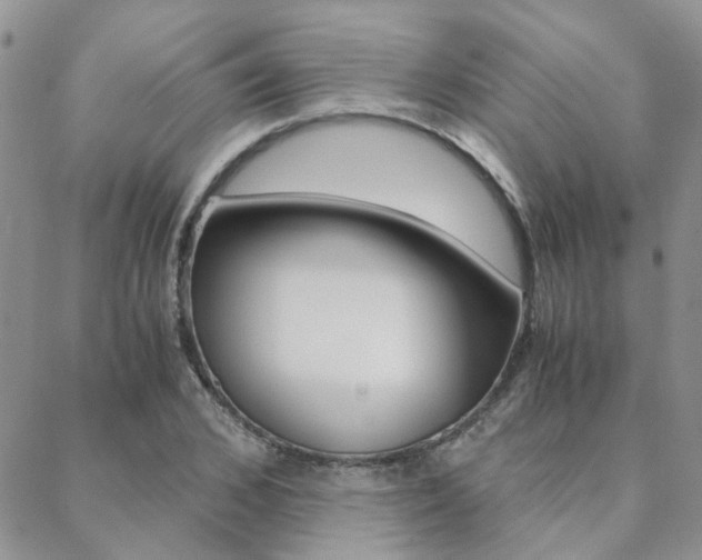 X0000088910976200706080821