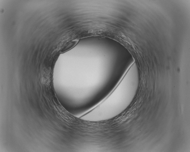 X0000088911012200706080820