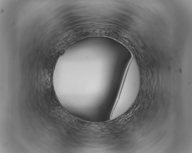 X0000088911013200706080820
