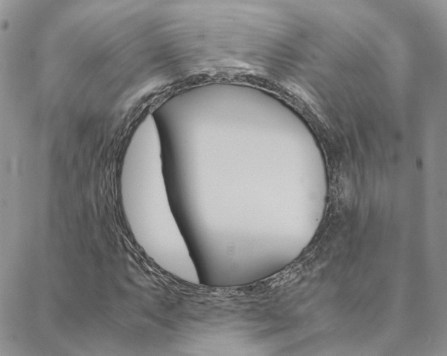X0000088911063200706080820