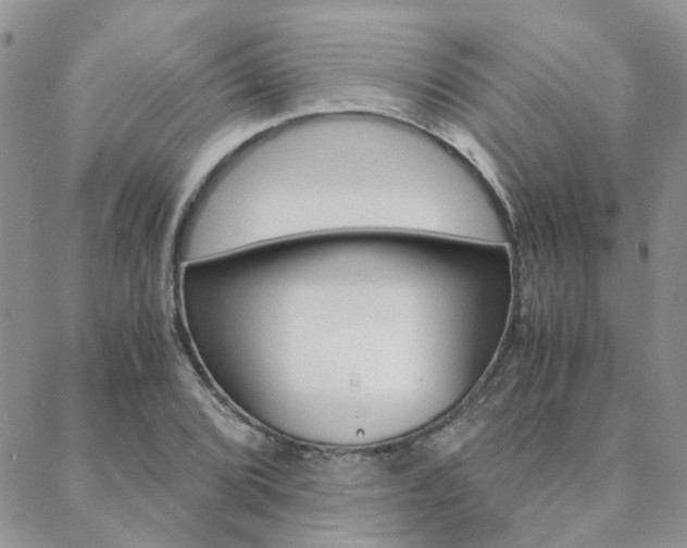X0000088911072200706080819