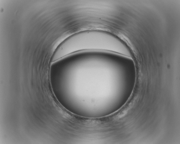 X0000088911081200706080819