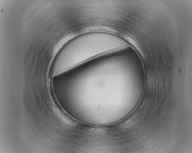 X0000088911082200706080819