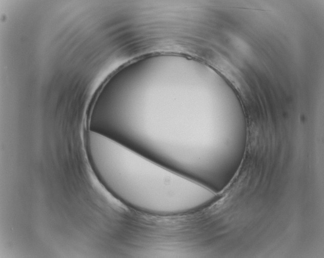 X0000088911084200706080819