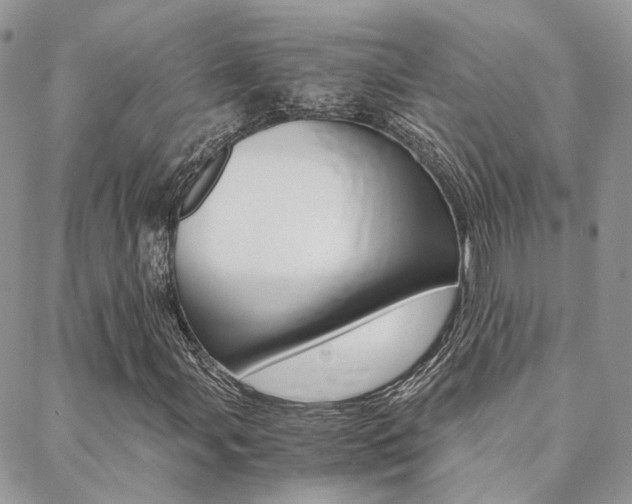X0000088911107200706080818