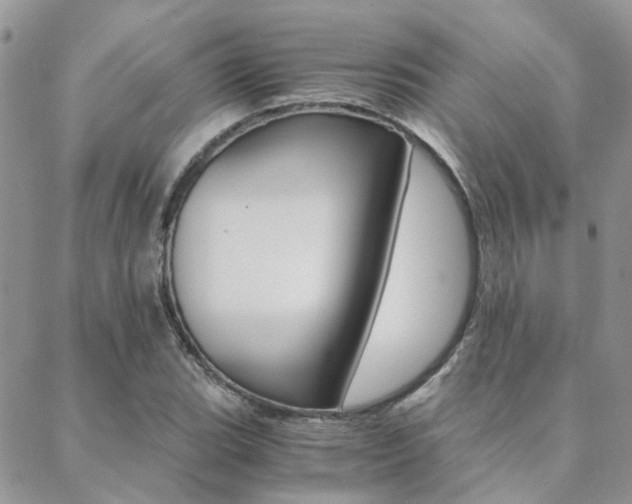 X0000088911119200706080818