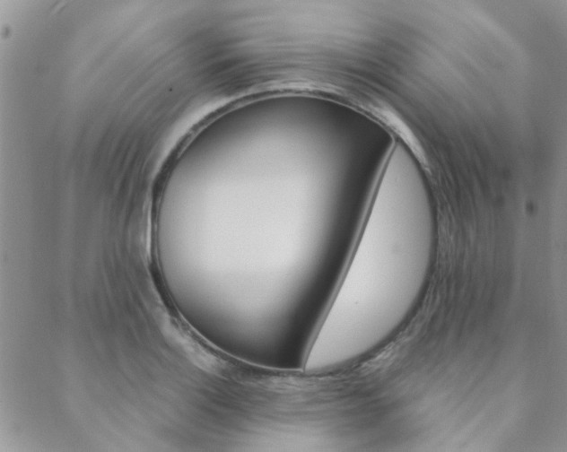 X0000088911132200706080819