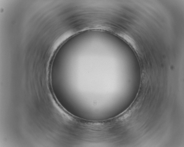 X0000088911135200706080819