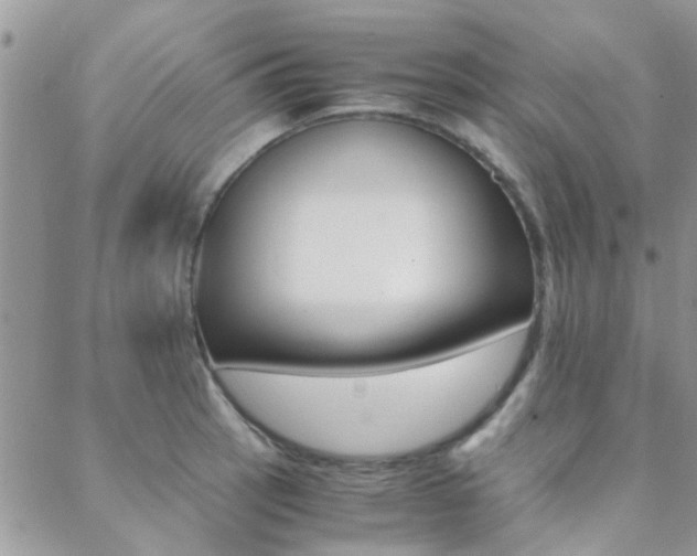 X0000088911137200706080819