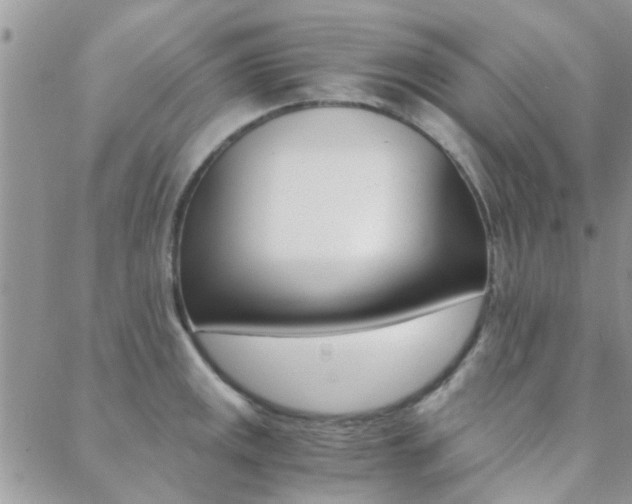 X0000088911141200706080819