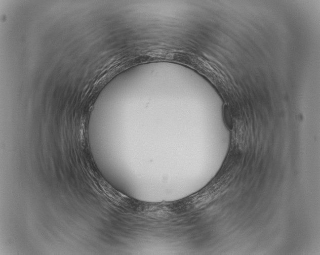 X0000088911154200706080818