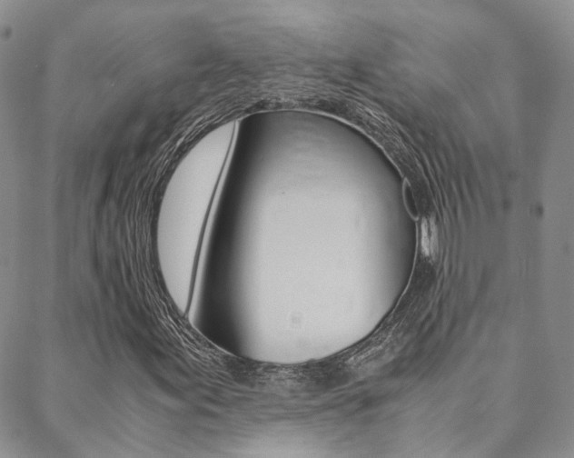 X0000088911155200706080818