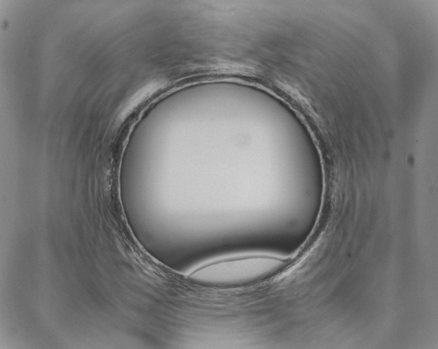 X0000088911163200706080818