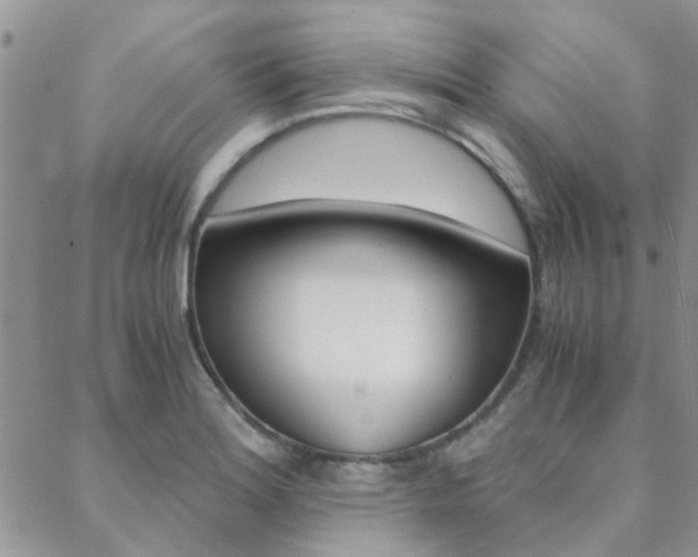 X0000088911180200706080818