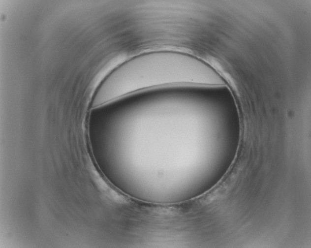 X0000088911189200706080818