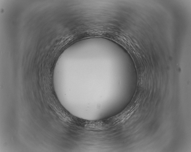 X0000088911201200706080817
