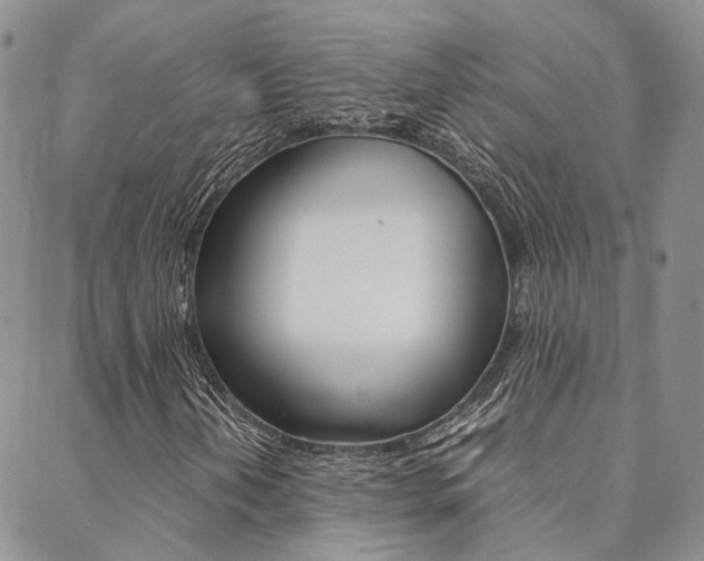 X0000088911202200706080817