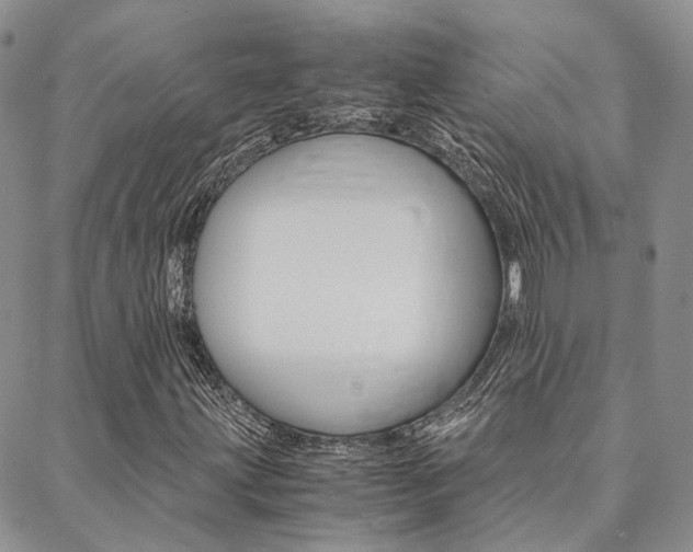 X0000088911203200706080817
