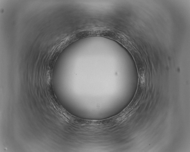 X0000088911204200706080817
