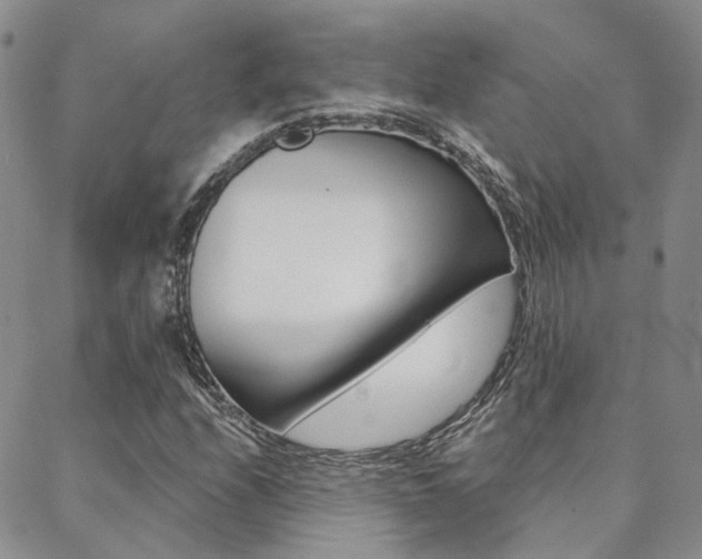 X0000088911208200706080817