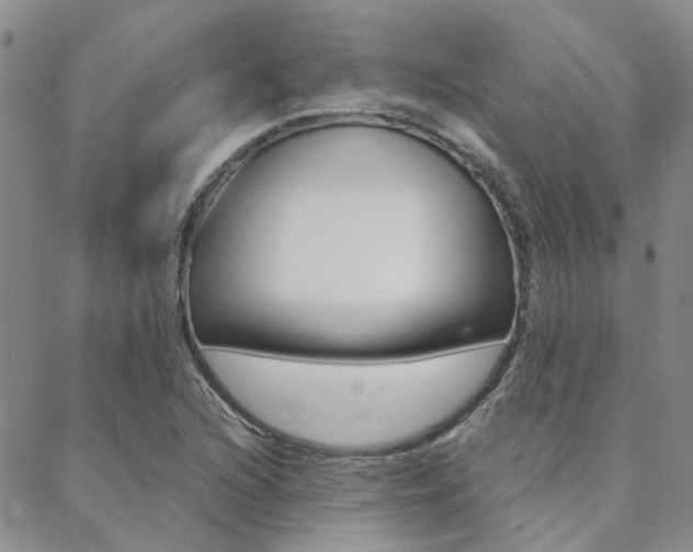 X0000088911216200706080817