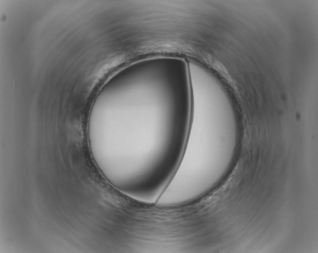 X0000088911218200706080817