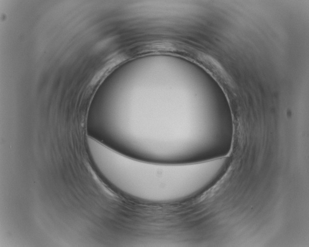 X0000088911225200706080817