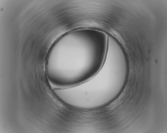 X0000088911226200706080817
