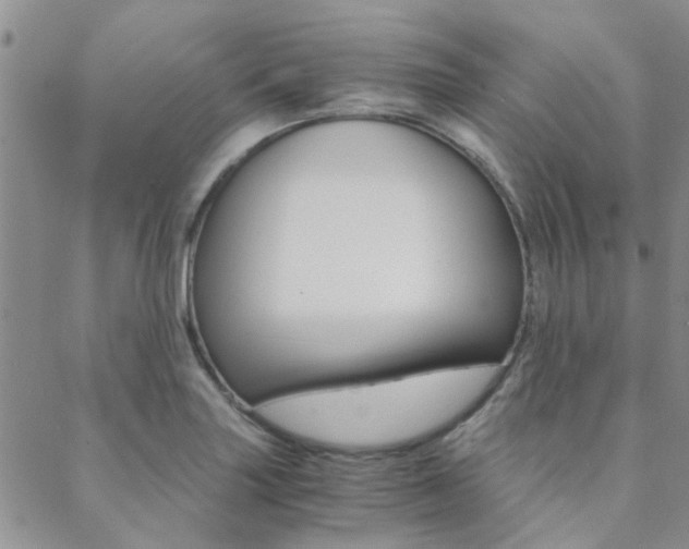 X0000088911227200706080817