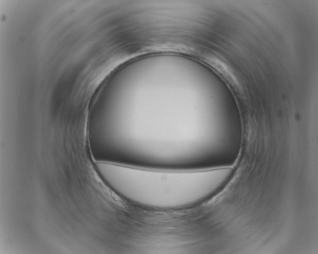 X0000088911228200706080817