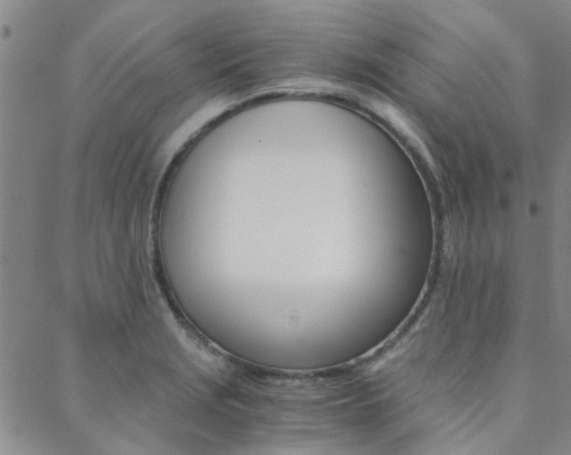 X0000088911229200706080817