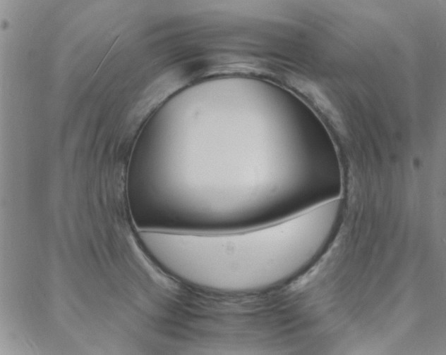 X0000088911233200706080817