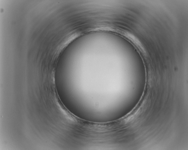 X0000088911241200706080817